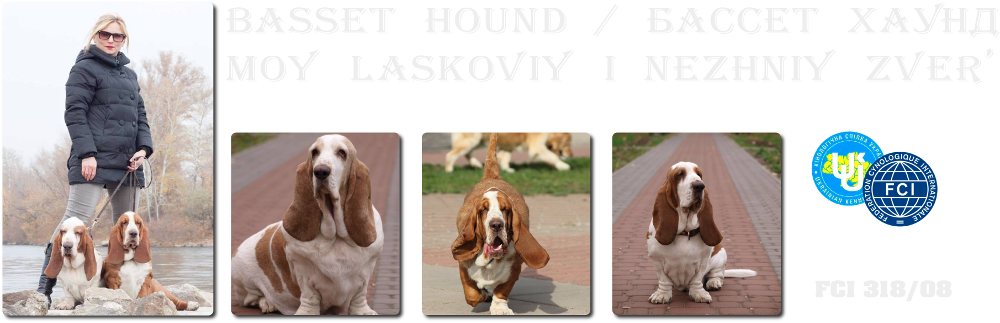 "MOY LASKOVIY I NEZHNIY ZVER' "